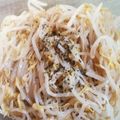 ｓｉｏ's cooksnap of when they made 簡単常備菜◇もやしのマリネ.