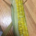 紗重桂's cooksnap of when they made ☆簡単 節約☆レンジでとうもろこし.