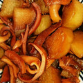 ＊あやの＊＊＊＊＊'s cooksnap of when they made コストコのやわらか焼きイカと大根の煮物.