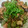 クックEKELXT☆'s cooksnap of when they made ＊すぐ出来！旨い!!なすと豚肉みそ炒め＊.
