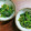 まやしゅうまま's cooksnap of when they made 簡単!ほうれん草のごま和え.