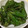 tutocook's cooksnap of when they made 簡単！万願寺とうがらしの生姜醤油炒め.