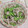 クックGW9ZS1☆'s cooksnap of when they made 豚と苦瓜と胡瓜の酢の物.