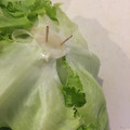 ソワカ's cooksnap of when they made お得に賢く保存① レタス編.