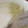 apronママ's cooksnap of when they made とろとろ甘酒プリン★.