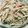 クックA4G7GA☆'s cooksnap of when they made ごぼうとにんじんのサラダ.
