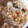 wayco's cooksnap of when they made 長ネギと桜えびの煮込みうどん.