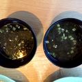 ゆーさんプラス's cooksnap of when they made これもアリ！？のり味噌汁～☄.