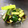 nonoue's cooksnap of when they made きゅうりの漬物～中華風～.
