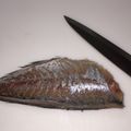 o料理見習君o's cooksnap of when they made ｷﾚｲに剥ける、あじの皮引き！.