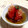 エルルン's cooksnap of when they made 簡単 めんつゆで丸ごとトマトおひたし.
