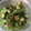 matyapy's cooksnap of when they made ゴーヤとオクラのさっぱり和え.