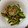 りんのパパです's cooksnap of when they made ゴーヤの酢しょうゆ和え.