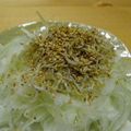 ノンノリノ's cooksnap of when they made ★新たまねぎとジャコのサラダ★.