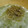 ノンノリノ's cooksnap of when they made ★新たまねぎとジャコのサラダ★.