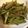 えこやき's cooksnap of when they made 山水菜の炒め煮.