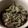 くっくはるちゃん's cooksnap of when they made みょうがのきんぴら.