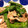 クック4NOBP5☆'s cooksnap of when they made 豚こまと万願寺とうがらしの塩炒め.