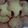 まりな：）'s cooksnap of when they made 材料３つ★　簡単さくさくクッキー.