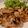 ♪ごんた's cooksnap of when they made 塩麹で柔らか～❤️鶏胸肉のガリバタチキン.