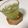 tatnao's cooksnap of when they made 氷水で水出し簡単 緑茶.