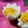さかいみゆ's cooksnap of when they made 簡単飾り切り♪　ギザギザゆで卵.