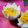 さかいみゆ's cooksnap of when they made 簡単飾り切り♪　ギザギザゆで卵.