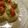 azbjbn's cooksnap of when they made 胡麻油が隠し味。ひと口そうめん。.