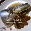 あっぷるん☆'s cooksnap of when they made さばとごぼうの煮付け.
