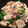 なっちゃん0120's cooksnap of when they made 豚肉とオクラとレンコンの柚子胡椒炒め.