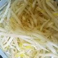 のんたゃ's cooksnap of when they made ＊もやしの保存＊.