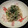 あっこ姉's cooksnap of when they made もやしと生青梗菜のゴマみそ和え.