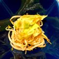 お弁当パパさん's cooksnap of when they made もやしのラー油ナムル風.