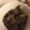 クックPW9C2T☆'s cooksnap of when they made こんにゃくのごま炒め.