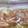 つれり～'s cooksnap of when they made かりっかり＊止まらない塩唐揚げ！.