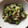 ＊まめゴマ＊'s cooksnap of when they made ゴーヤともずくのさっぱり和え.
