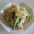 orai's cooksnap of when they made 細切り胡瓜と大根のツナマヨサラダ.