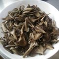 みみ母's cooksnap of when they made 舞茸のガーリックバター.