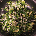 ガミ地ガミ子's cooksnap of when they made ピーマンとしらすと塩昆布の炒め物.