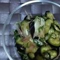 みがつくひと's cooksnap of when they made めっけもん♪なすのみょうが漬け.
