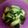 クックUWIJ5R☆'s cooksnap of when they made 胡瓜消費に完璧✨超簡単レシピ.