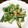 卵せんべい's cooksnap of when they made いんげんのおかかマヨ.