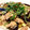 マイク伊東's cooksnap of when they made 豚肉となすのネギ塩炒め.