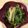 クックAROOL4☆'s cooksnap of when they made 簡単本格！ご飯がすすむ青椒肉絲！.