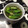 azbjbn's cooksnap of when they made もずくおくら　超簡単！あっさり美味しい♡.