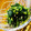 アイアンツリー's cooksnap of when they made ほうれん草のおひたし.