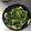 LINDA★8's cooksnap of when they made 子どもたちも大好き♪小松菜のお浸し.