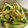 柊さくら's cooksnap of when they made 胡瓜とメカブの梅肉和え.