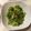クックPOFV8M☆'s cooksnap of when they made 春キャベツと桜エビのうまうま炒め♡.