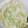 凛楓ちゃん's cooksnap of when they made 万能☆簡単ネギ塩だれ.